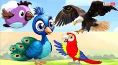 Good Luck Sign: સુખના દૂત હોય છે આ જીવ, ઘર પર આવવું મનાય છે શુભ સંકેત