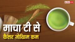 क्या है जापान की माचा टी, जिससे कम हो जाता है कैंसर का खतरा; रिसर्च में दावा