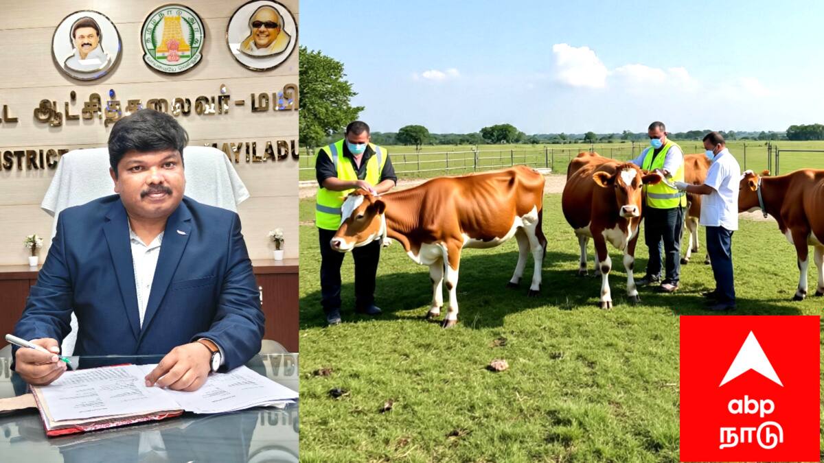 விவசாயிகளின் கவனத்திற்கு...! கால்நடைகளுக்குப் பெரியம்மை தடுப்பூசி: மயிலாடுதுறை மாவட்டத்தில் இலவச முகாம்களுக்கு ஏற்பாடு