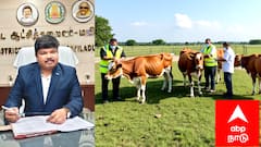 விவசாயிகளின் கவனத்திற்கு...! கால்நடைகளுக்குப் பெரியம்மை தடுப்பூசி: மயிலாடுதுறை மாவட்டத்தில் இலவச முகாம்களுக்கு ஏற்பாடு