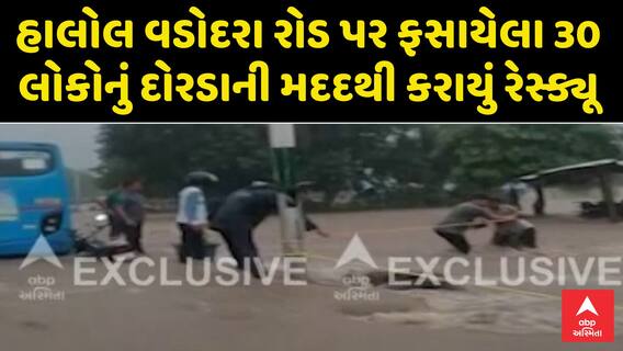 Halol Rescue: હાલોલ વડોદરા રોડ પર ફસાયેલા 30 લોકોનું દોરડાની મદદથી કરાયું રેસ્ક્યૂ, જુઓ અહેવાલ