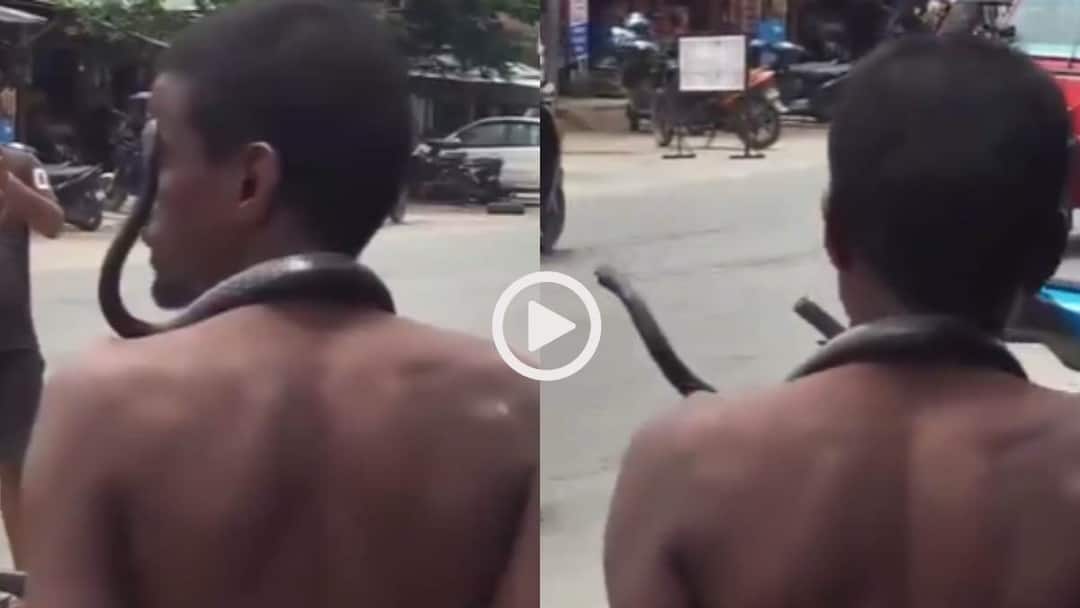 Watch man walks on the street with a snake around his neck Viral Video Video: सड़क पर ‘खतरनाक स्टंट’, गले में जिंदा सांप डालकर घूमता दिखा शख्स, वीडियो वायरल