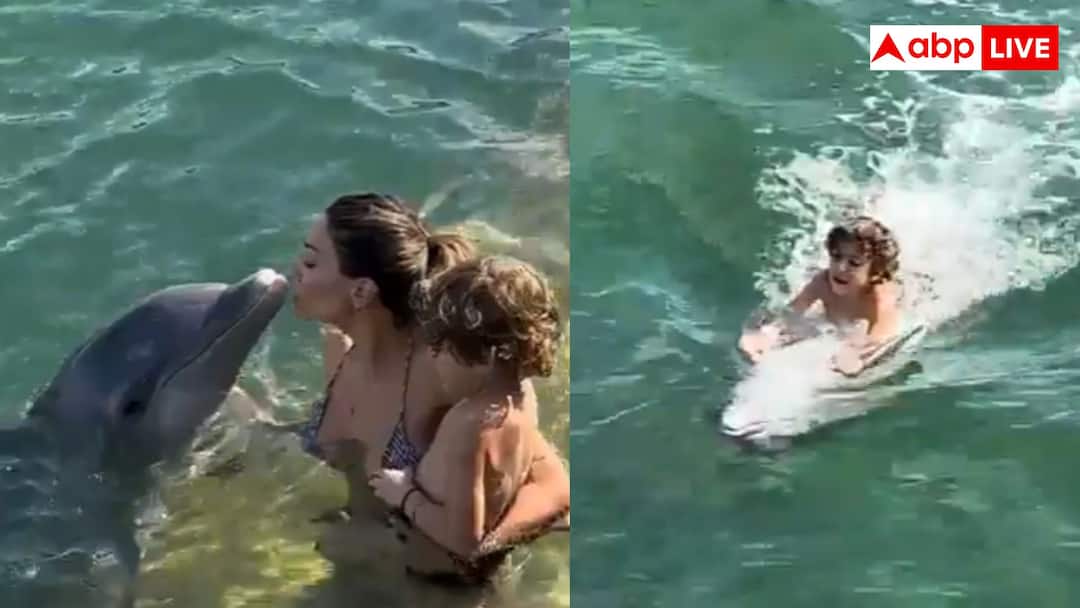 Viral dolphin video carrying child on back in swimming pool wins hearts worldwide डॉल्फिन बनी बच्चे की बेस्ट फ्रेंड! पूल में घुमाया अपनी पीठ पर, वीडियो ने जीता करोड़ों दिल