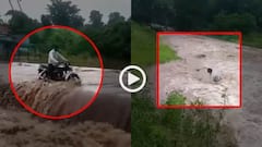 Video: पानी से खिलवाड़, जीवन पर प्रहार, बाइक से पुल पार करते वक्त बहा शख्स, वीडियो वायरल