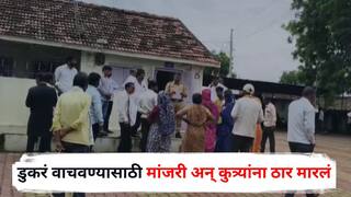 Nashik Crime: डुकरं वाचवण्यासाठी 20 मांजरी अन् कुत्र्यांना विष घालून ठार मारलं, नाशिकमधील धक्कादायक प्रकार