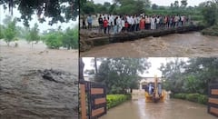 मराठवाड्यात पावसाचा हाहाकार! अतिवृष्टीची दाहकता समोर; शेतीसह जनावरांचे मोठं नुकसान, जनजीवन विस्कळीत