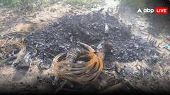 गला दबाकर मारा, कीटनाशक पिलाया और फिर कर दिया अंतिम संस्कार... बेटी के प्यार से खफा पिता ने दिया वारदात को अंजाम