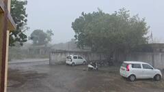 Gujraat Rain: ગુજરાતમાં આવતીકાલે ધોધમાર વરસાદની શક્યતા, 18 જિલ્લામાં યલો એલર્ટ