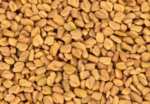 मेथी के बीज: मेथी के बीज भिगोकर पेस्ट बना लें और रात में सोने से पहले आइब्रो पर लगाएं. इसमें मौजूद निकोटिनिक एसिड और प्रोटीन बालों की जड़ों को मजबूत बनाते हैं.