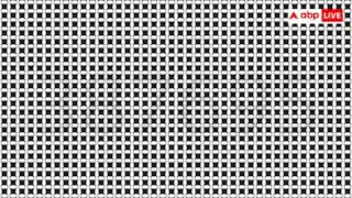 तस्वीर में छिपे खुफिया नंबर को पहचानने में छूट जाएंगे पसीने- है हिम्मत तो 10 सेकंड में दो जवाब