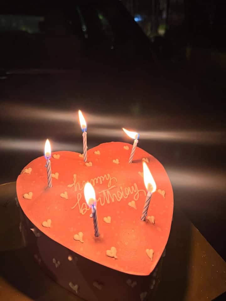 Hasina also shared a photo of the cake in her birthday celebrations. Users also liked this cake of heart shape. While sharing photos, he wrote in the caption that 'cakes, candles and my favorite people'.
