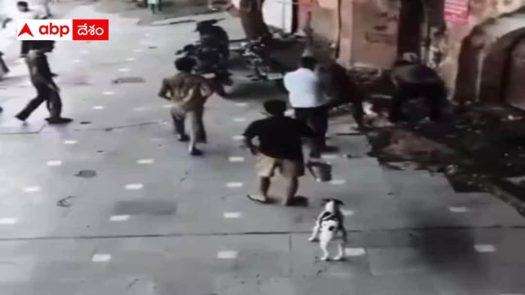 Murder For Prasad: ప్రసాదం త్వరగా ఇవ్వలేదని ఆలయ సేవకుడ్ని కొట్టి చంపేశారు - ఇలా ఉన్నారేంటి ? Temple sevadaar beaten to death over a few minutes wait for prasad in Delhi Murder For Prasad: ప్రసాదం త్వరగా ఇవ్వలేదని ఆలయ సేవకుడ్ని కొట్టి చంపేశారు - ఇలా ఉన్నారేంటి ?