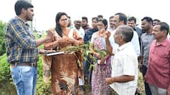 పంట నష్టపోయిన రైతులకు పరిహారం చెల్లిస్తాం - నిర్మల్ జిల్లా కలెక్టర్