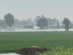 Punjab Floods: ਸਤਲੁਜ ਦੇ ਪਾਣੀ ਦਾ ਪੱਧਰ ਵਧਿਆ, ਫਾਜ਼ਿਲਕਾ ‘ਚ ਟੁੱਟਿਆ ਬੰਨ੍ਹ, ਕਈ ਪਿੰਡਾਂ ‘ਚ ਭਰਿਆ ਪਾਣੀ, ਆਸ਼ੀਆਨੇ ਛੱਡ ਹਿਜਰਤ ਕਰਨ ਲੱਗੇ ਲੋਕ