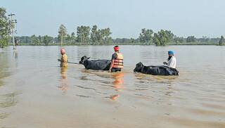 ਕਪੂਰਥਲਾ ਵਿੱਚ ਬਿਆਸ ਦਰਿਆ ਦੇ ਪਾਣੀ ਦਾ ਪੱਧਰ ਖ਼ਤਰੇ ਦੇ ਨਿਸ਼ਾਨ ‘ਤੇ ਪਹੁੰਚਿਆ, ਰੈੱਡ ਅਲਰਟ ਜਾਰੀ, ਲੋਕ ਸੁਰੱਖਿਅਤ ਥਾਵਾਂ 'ਤੇ ਜਾਣ ਦੀ ਸਲਾਹ