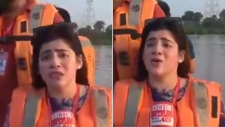 ‘Dar Lag Raha Hai’: Pakistani Reporter’s Flood Coverage Reminds Netizens Of Chand Nawab ‘Dar Lag Raha Hai’: Pakistani Reporter’s Flood Coverage Reminds Netizens Of Chand Nawab