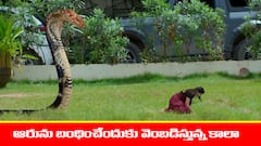 ‘నిండు నూరేళ్ల సావాసం’ సీరియల్‌:  అమర్‌ ఇంట్లో అద్బుతం – ఆరు కోసం వచ్చిన వినాయకుడు