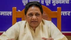 Mayawati's BSP To Fight Bihar Elections Solo; Nephew Akash Anand Gets Key Role