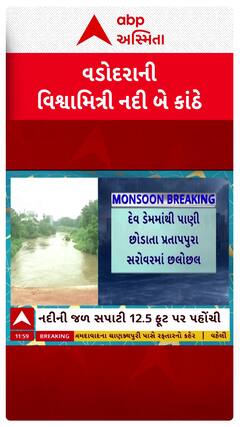 Vadodara Rains: ઉપરવાસમાં વરસાદના કારણે વડોદરાની વિશ્વામિત્રી નદી બે કાંઠે