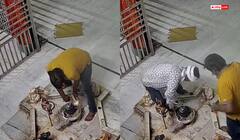 जयपुर के शिव मंदिर में चोरी: भगवान के चांदी के गहने ले उड़े चोर, CCTV में कैद
