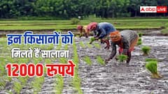 एमपी में इन किसानों को 6 हजार की जगह मिलते हैं सालाना 12 हजार रुपये, जानें कौन शामिल?
