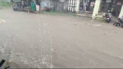 Rain Alert: ગુજરાતમાં કાલે 9 જિલ્લામાં વરસાદ ભુક્કા બોલાવશે, હવામાન વિભાગે યલો એલર્ટ આપ્યું