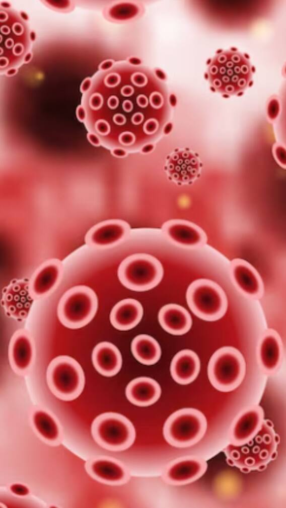 হিমোগ্লোবিন বৃদ্ধি করে এই সব আমিষ খাবার…