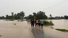 Punjab Floods: ਸਤਲੁਜ ਦਰਿਆ ਵਿੱਚ ਊਫਾਨ, ਫਿਰੋਜ਼ਪੁਰ ਦੇ ਲਗਭਗ 100 ਪਿੰਡ ਹੜ੍ਹ ਵਿੱਚ ਡੁੱਬ ਗਏ, ਫਸਲਾਂ ਹੋਈਆਂ ਤਬਾਹ