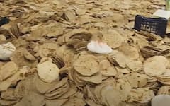 दोन दिवस गैरसोर, तिसऱ्या दिवशी हजारो भाकऱ्या राज्यभरातून मुंबईत