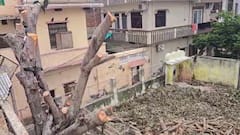 शर्मनाक..! झांसी में कटवाया 40 साल पुराना पीपल का पेड़, वजह जानकर आपको आएगा गुस्सा