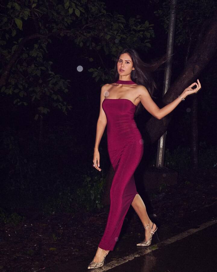 वहीं इन दिनों सोनम टाइगर और हरनाज के साथ अपनी आने वाली फिल्म ‘बागी 4’ का जोरशोर से प्रमोशन कर रही हैं. जो 5 सितंबर को रिलीज होगी.