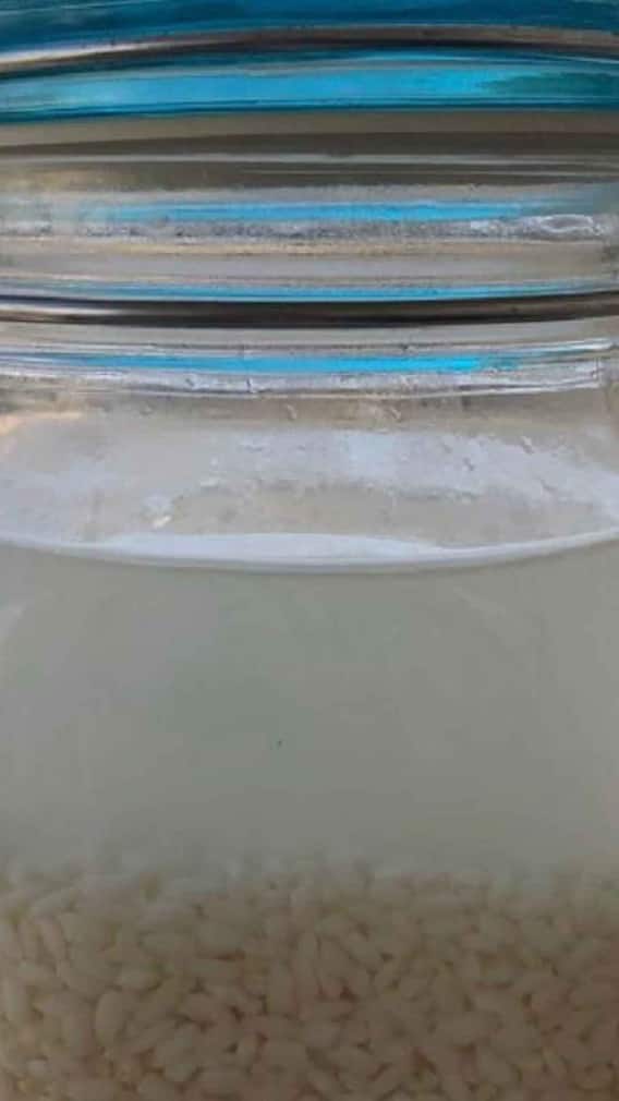 இளம்பெண்களே முடி கொத்து கொத்தாக கொட்டுகிறதா? - இத ட்ரை பன்னி பாருங்க