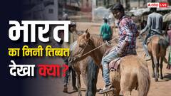 भारत में घूमना है मिनी तिब्बत तो चले जाएं इस राज्य, कसम से आ जाएगा मजा