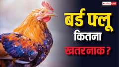 दिल्ली चिड़ियाघर में फैला बर्ड फ्लू, क्या लोगों को भी हो सकता है खतरा?