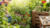 6 Simple Gardening Hacks That Will Transform Your Plants Instantly