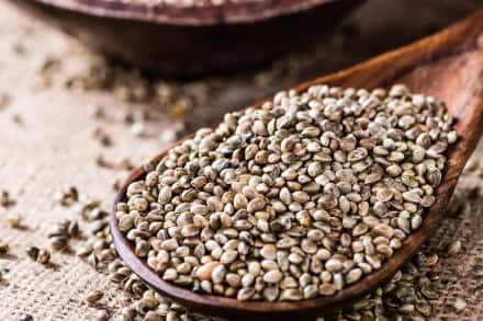 Hemp Seeds: Hemp seeds are considered to be the best source of plant-based protein. Amino acids present in these are very important for repairing and growth of muscles.