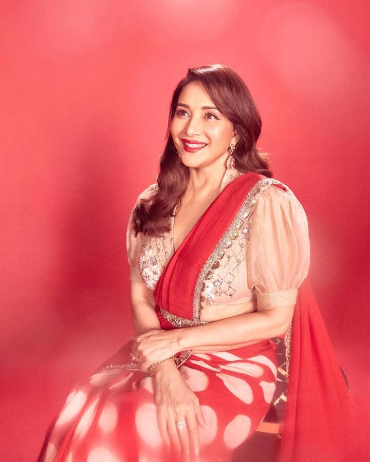 Madhuri's blouse in this look is in Puff-Sleves Net detailing design. It has deep neckline and mirror work and sequin embroidery on the border.