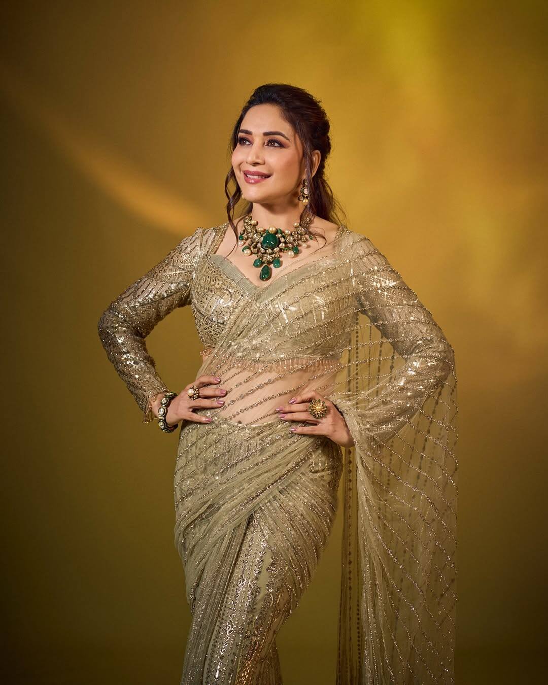 In this look, Madhuri's blouse Deep V-Nane is a sequel design with full sleeves. The entire blouse is decorated with Shimri Golden Work, which makes it more glamorous by matching a saree. This style is perfect inspiration for party, reception or festive night look, as it has both Eligence and Modern Touch.