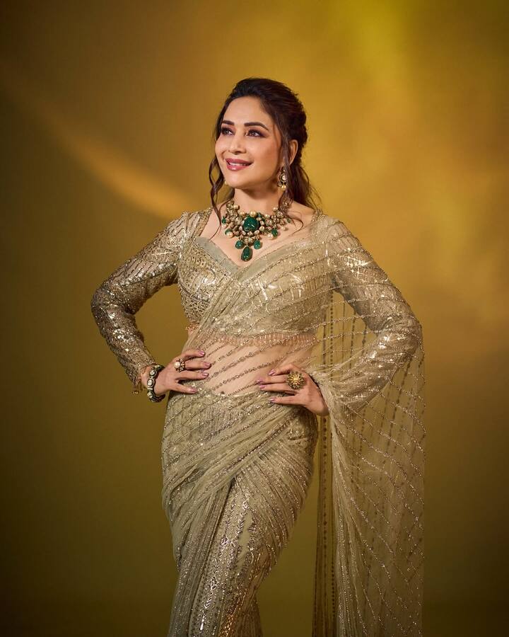 In this look, Madhuri's blouse Deep V-Nane is a sequel design with full sleeves. The entire blouse is decorated with Shimri Golden Work, which makes it more glamorous by matching a saree. This style is perfect inspiration for party, reception or festive night look, as it has both Eligence and Modern Touch.
