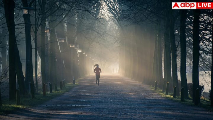 इन एक्सरसाइज से आपको पता चलेगा कि आपकी बॉडी फिट है या कुछ सुधार की जरूरत है. हर टेस्ट में सुधार के लिए धीरे-धीरे रूटीन बढ़ाएं.