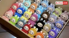 आखिर क्या है Labubu और यह क्यों हो रहा इतना फेमस? जान लें असली वजह