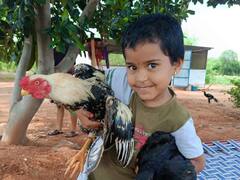 சிறுமி ஓவியா வாகன விபத்தில் மூளைச்சாவு, உறுப்பு தானம் மூலம் மறுவாழ்வு!