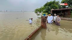 Punjab Floods: Farmers To Get Rs 20,000 Per Acre Compensation Over Crop Damage, Can Extract Sand From Fields