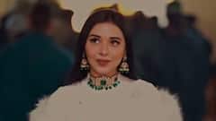 Did Tanya Mittal Really Kiss Amaal Mallik’s Photo In Bigg Boss 19? Viral Clip Sparks Buzz