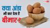 अंडा खाने से बिगड़ सकती है तबीयत, यहां अंडे खाकर बीमार हो गए सैकड़ों लोग