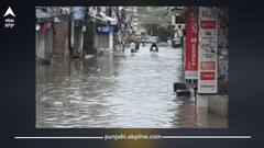 ਜਲੰਧਰ ‘ਚ ਮੀਂਹ ਦਾ ਰੈੱਡ ਅਲਰਟ: ਸੜਕਾਂ ‘ਤੇ ਪਾਣੀ, ਹੈਲਪਲਾਈਨ ਨੰਬਰ ਜਾਰੀ, ਸਾਰੇ ਵਿਭਾਗ ਸੁਚੇਤ; ਸਕੂਲ-ਕਾਲਜ ਅੱਜ ਬੰਦ