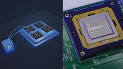 चीन के वैज्ञानिकों का कमाल, बना लिया 'डार्विन मंकी', जानिए अब क्या होगा