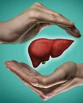 fatty liver பற்றி கவலைப்படுகிறீர்களா? இந்த உணவுகளால் கட்டுப்படுத்தலாம்!