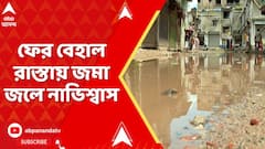 Bad Road Condition: ফের বেহাল রাস্তায় জমা জলে নাভিশ্বাস, প্রতিবাদে রাস্তা অবরোধ