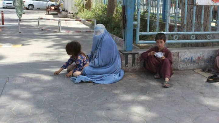 पाकिस्तानी मीडिया की रिपोर्ट्स बताती हैं कि यह पूरी व्यवस्था किसी माफिया के जरिए चलाई जाती है. यह माफिया गरीब और बेरोजगार लोगों को टूरिस्ट या धार्मिक वीजा दिलवाता है और उन्हें विदेश भेजता है.